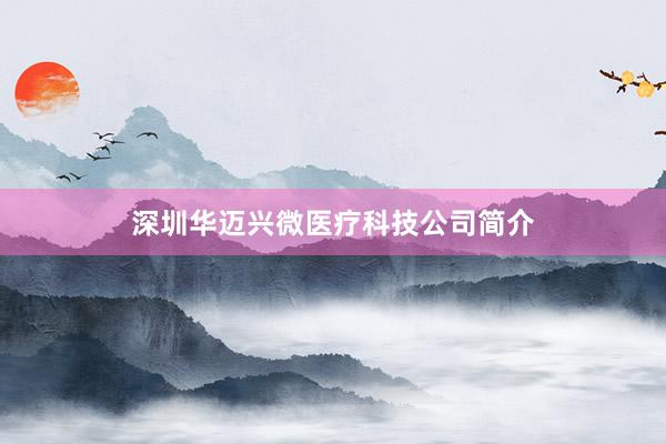 深圳华迈兴微医疗科技公司简介