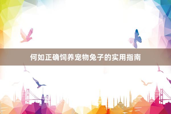 何如正确饲养宠物兔子的实用指南