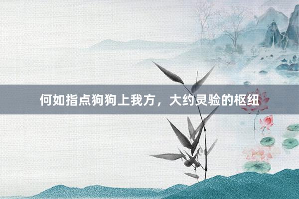 何如指点狗狗上我方，大约灵验的枢纽
