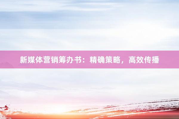新媒体营销筹办书：精确策略，高效传播